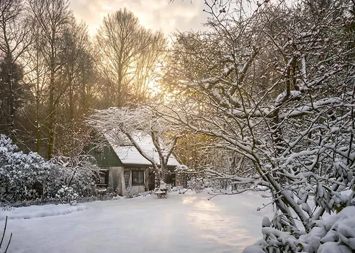 Kleines Haus Ferienhaus *